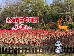-上海野生动物园