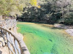 -龙湾潭国家森林公园