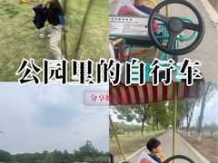 -南湖湿地公园