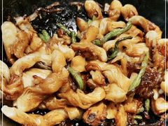 -华盛园卷子王农家菜水库鱼