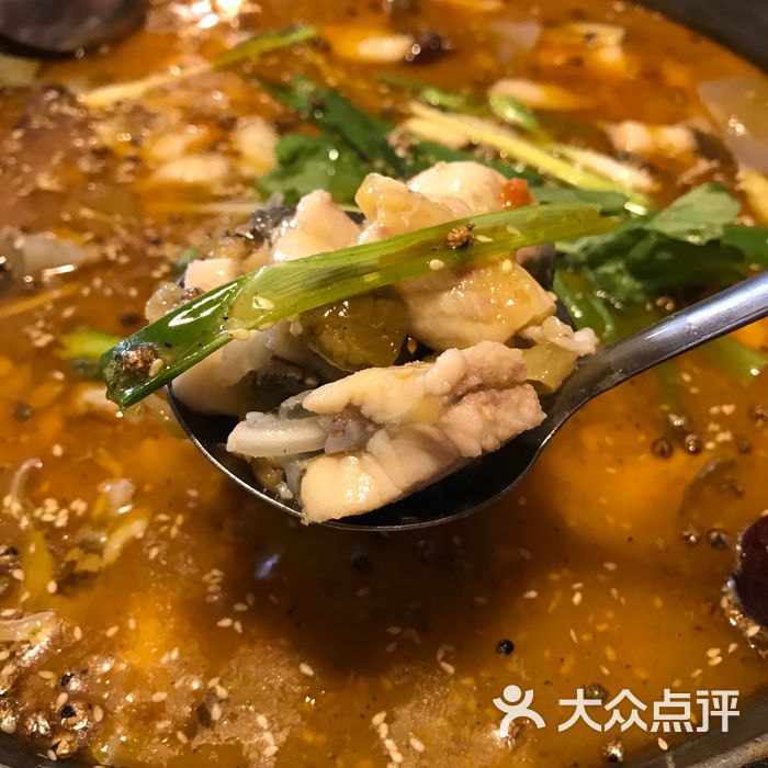 椒知味生态鱼馆中华鲟图片