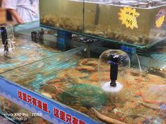 -和源祥·日照菜扛把子(万平口一店)