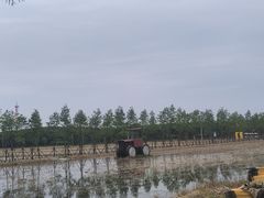 -嘉北郊野公园