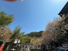 -老张烤羊(王哥庄店)