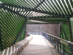 -西湖风景区-江洋畈生态公园