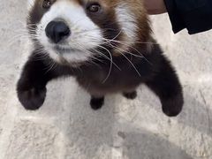 -济南野生动物世界