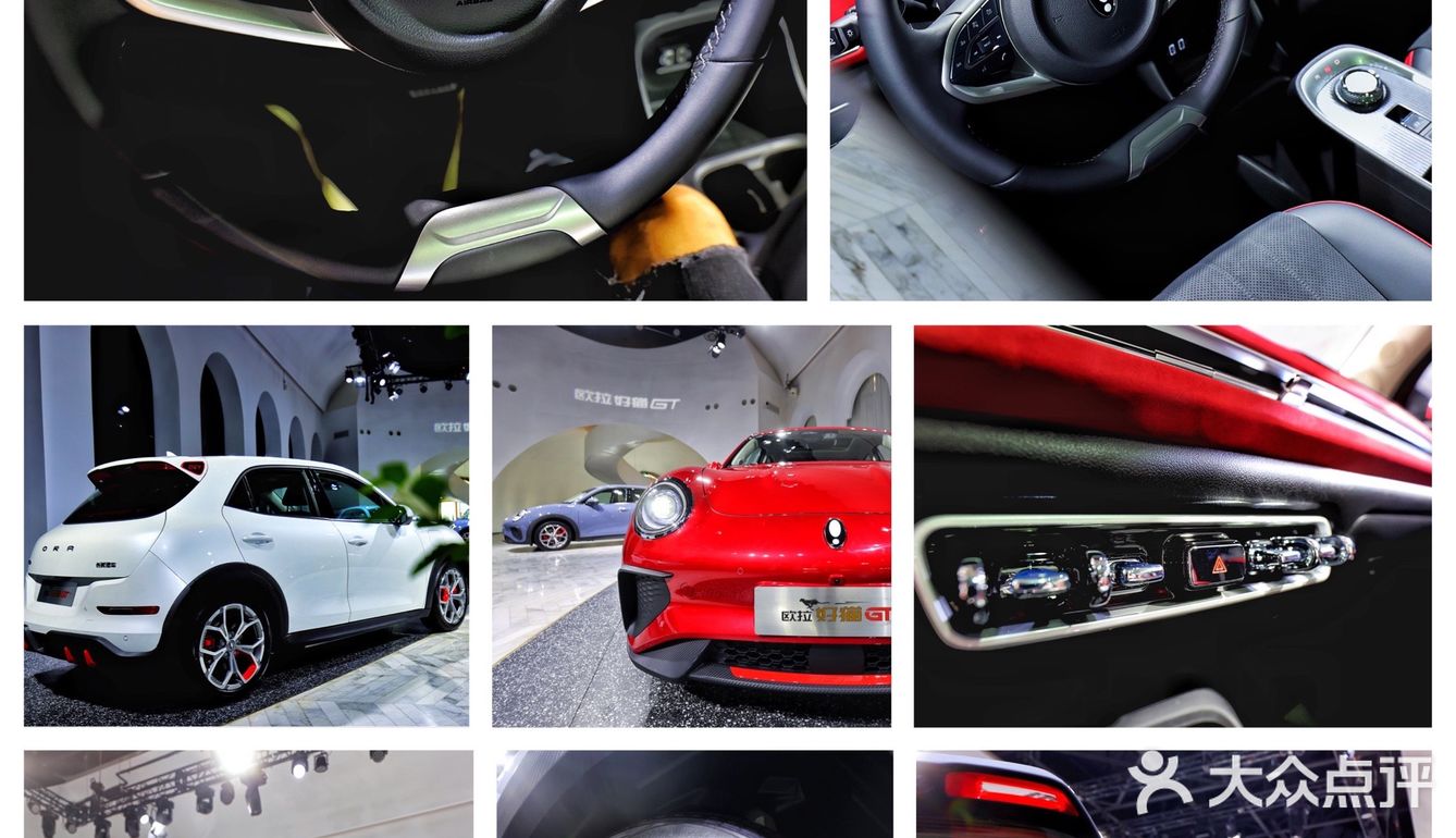 在北京摩卡艺术中心遇见“猫”