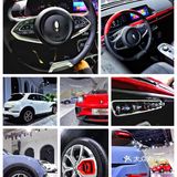 在北京摩卡艺术中心遇见“猫”