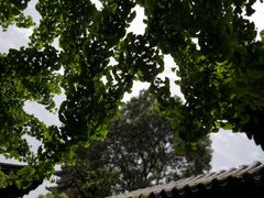 -常熟方塔园
