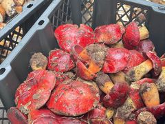 -草墩罗非鱼庄•野生菌•腊排骨(七星街上段店)