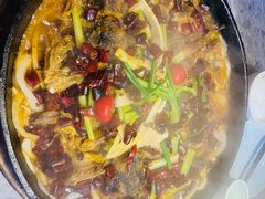 -老板恋上鱼(恒隆广场店)