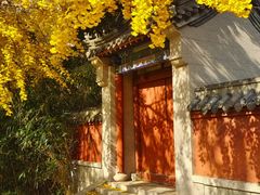 -青岛崂山太清宫