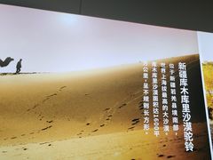 -西域胡氏大盘鸡(谈固店)