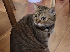 -H立方实景剧情密室(天河旗舰店)