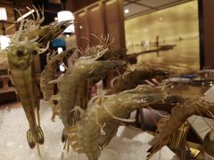 -尚海豆捞(乐虹坊店)