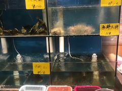 水产区-老鄞江清水龙虾•赵赵家(江北店)