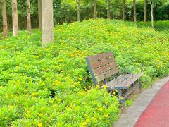 -眉山湿地公园(东坡区)