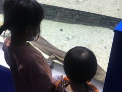 -石家庄海洋公园