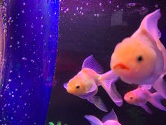 -梦幻海洋王国(吾悦广场张家港店)