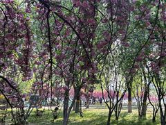 -莲花池公园