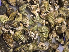 -火锅岛潮牌自助餐厅(天津天佑城店)