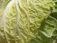 白菜-鑫龙火锅城(经二纬四店)