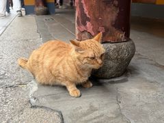 -龙华素斋(龙华路店)