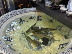 -南京金牛湖巨碗鱼头