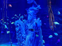 -沈阳海洋探索中心