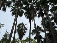 -柳侯公园