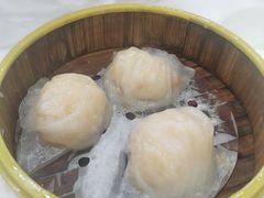 金鼎鮮味虾饺皇-广州酒家(文昌总店)
