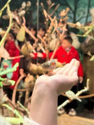 -Zoolung Zoolung动物主题公园(海信广场店)