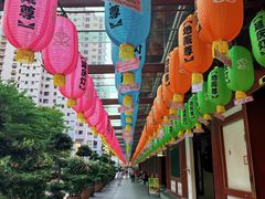 -新加坡佛牙寺龙华院