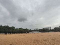 -青枫公园