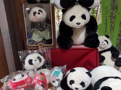 -轩客会(熊猫书店)