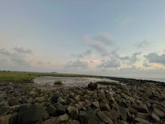 -南汇嘴观海公园