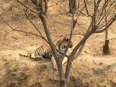 android_upload_pic-西安秦岭野生动物园