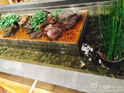 -悦诗风吟innisfree