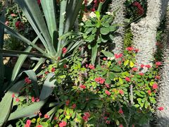 -国家植物园南园