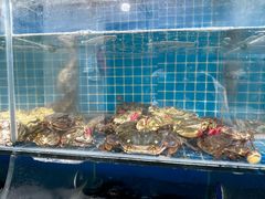 -宾朋海鲜饭庄(兴海路店)