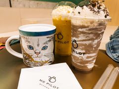 -飞行喵MR PILOT|猫舍·猫咖(静安大融城店)