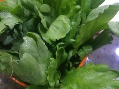 -德顺斋爆肚涮肉馆·烧烤·羊蝎子·清真炒菜(马驹桥店)