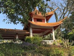 -深圳仙湖植物园