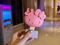 -安吉Hello Kitty乐园