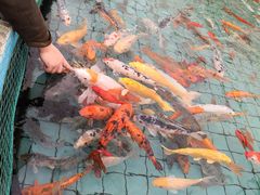 -长春农博园