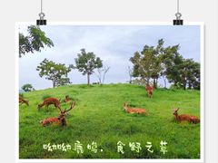 -良渚古城遗址公园
