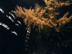 -西南民族大学南区(双流校区)