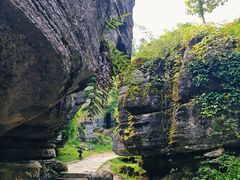 -梭布垭石林景区