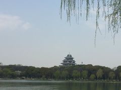 -金鸡湖桃花岛