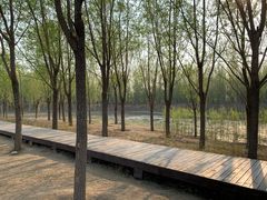 -东郊湿地公园